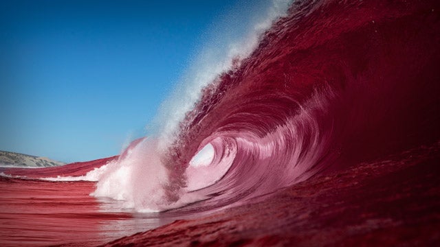 Image result for red wave images